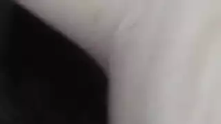 جوك راعية البقر العكسي ألمانية