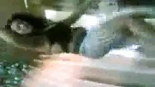 شرموطة تمص لزبون في بيت دعارة