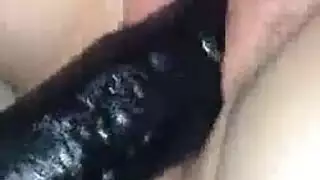 بوصة الديك فن غش